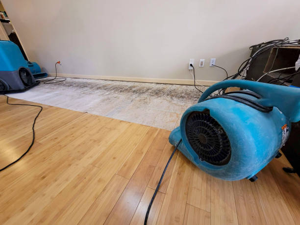 Professional Water Extraction technician working in Kirkwood, MO